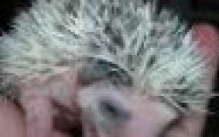 Пил неделю болит голова