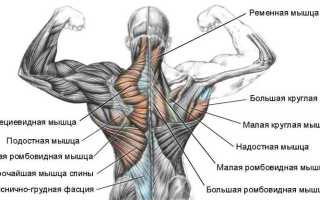 Сильно болят мышцы на спине