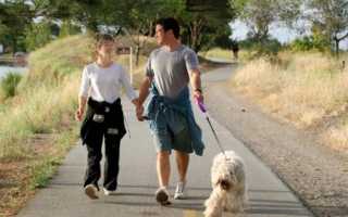 Сильно болит спина как лечить