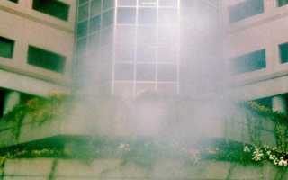 Болит голова немеет рука перед глазами пелена