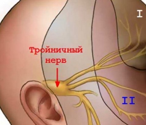 болит правая сторона головы и кружится голова