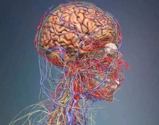 если при беременности очень болит голова