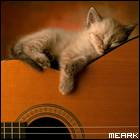 После резких движений болит спина