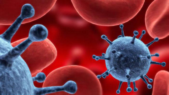 температура 38 и болит горло у взрослого что делать