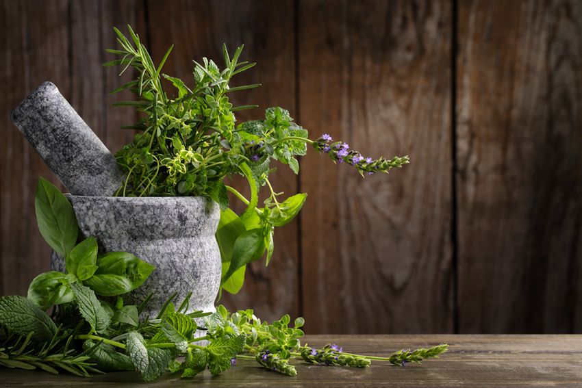 болит голова заложен нос соплей нет