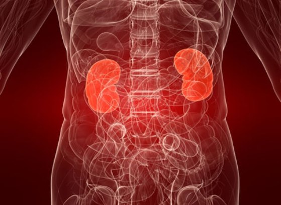 Патология почек	