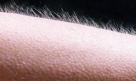 Гусьи лапки