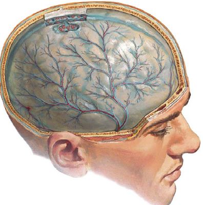 Слабость во всем теле и болит голова что может быть