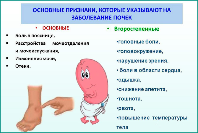 Признаки заболеваний почек