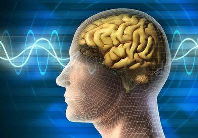 Слабость во всем теле и болит голова что может быть