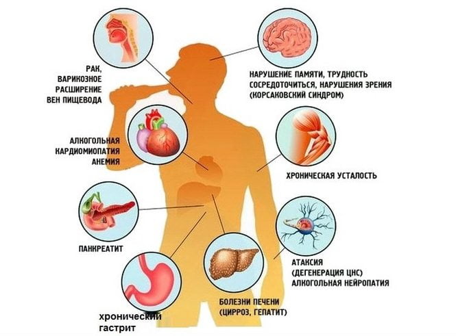 Влияние алкоголя на органы