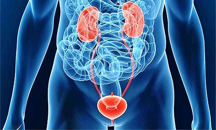 Когда болят почки при цистите, то это считается неблагоприятным симптомом